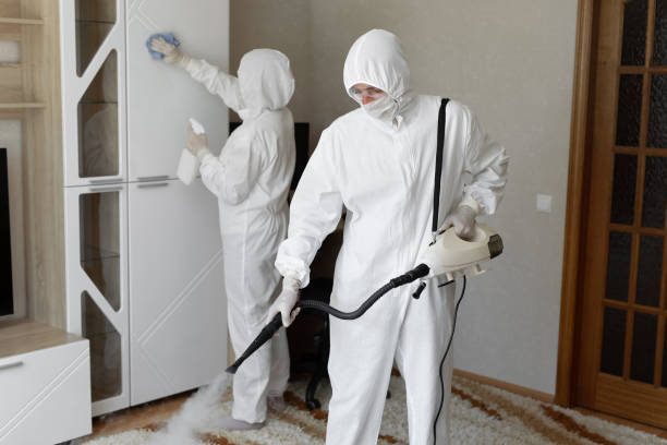 Certified Mold Removal in Mercer, PA